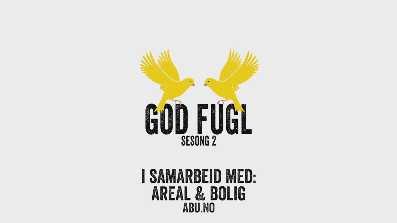 God Fugl EP2 - Peter Werni